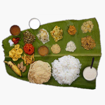 Pistacia Restaurant And Food Template